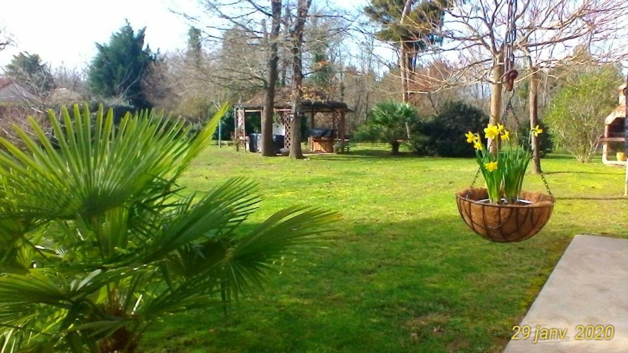 Le Clos Des Palombes Wifi Climatisation Saint-Pierre-du-Mont  Exteriér fotografie