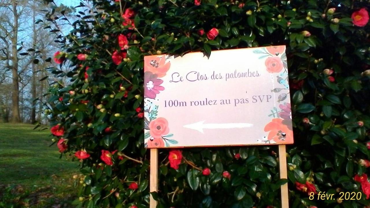 Le Clos Des Palombes Wifi Climatisation Saint-Pierre-du-Mont  Exteriér fotografie
