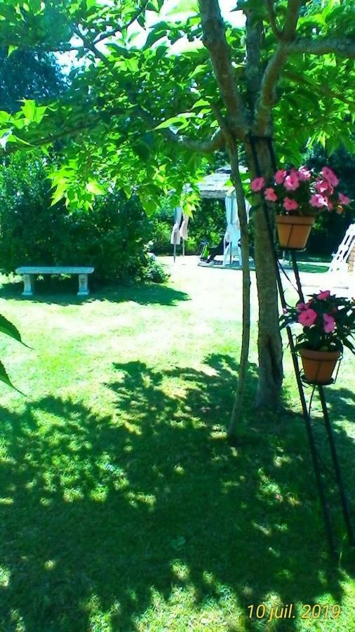 Le Clos Des Palombes Wifi Climatisation Saint-Pierre-du-Mont  Exteriér fotografie